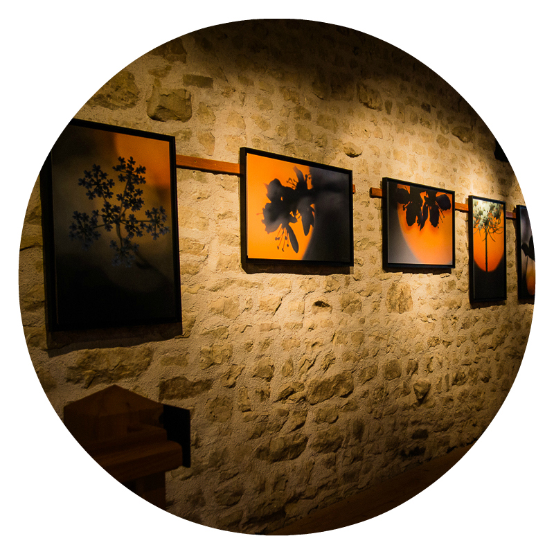 Photographies en caisses américaines décoration photographie d'art