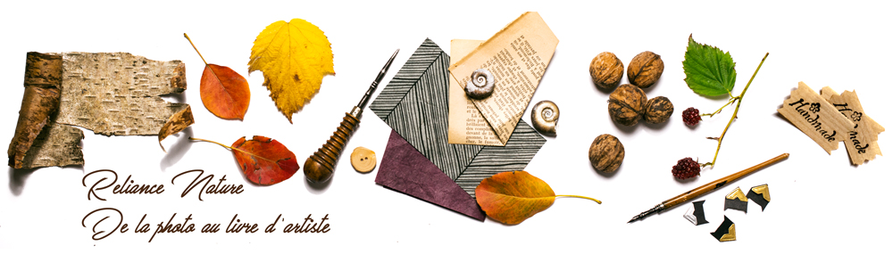 fb-livre-artiste