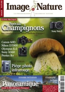 images-nature-champignon