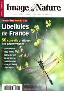 libellules-macro-image-nature