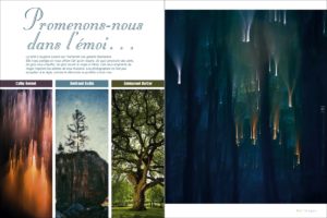nat-images-arbres-cathy-bernot