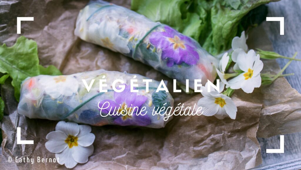 vegetalien-vegan